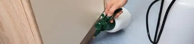Bed bug exterminator treating baseboards and cracks with targeted spray in Orange, CA