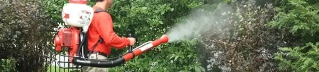 Mosquito control technician fogging shrubs and landscaping for mosquito treatment in Orange, CA