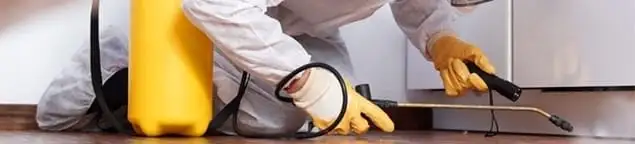 Roach exterminator treating cracks and crevices along kitchen baseboards in Orange, CA