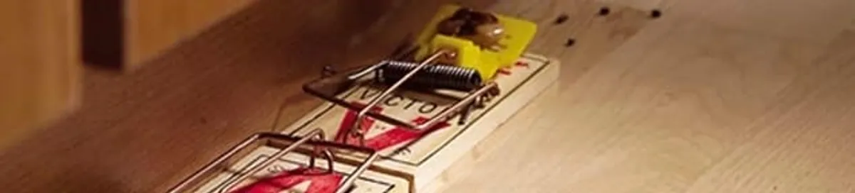 Rodent trap set indoors for rodent control and prevention in Orange, CA