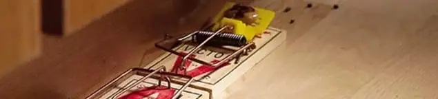 Rodent trap set indoors for rodent control and prevention in Orange, CA